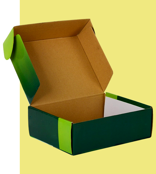 Colored Corrugated Mailer Box