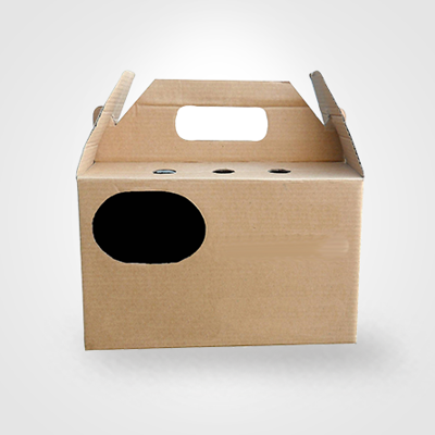 Custom Pet Packaging Boxes