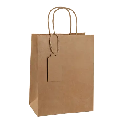 Brown Paper Bags