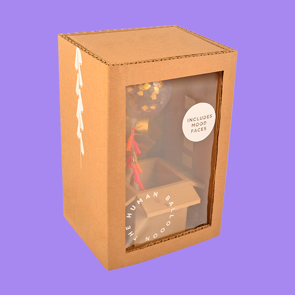 cardboard box with display window