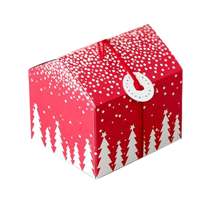 Custom Printed Christmas Favour Boxes