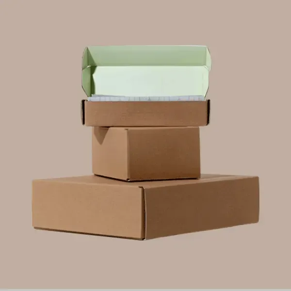 Custom Kraft Mailing Packaging