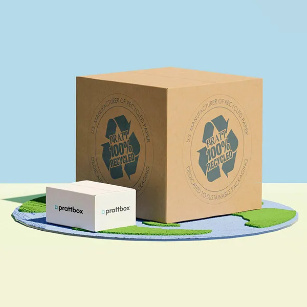 Custom Recycling Packaging Boxes