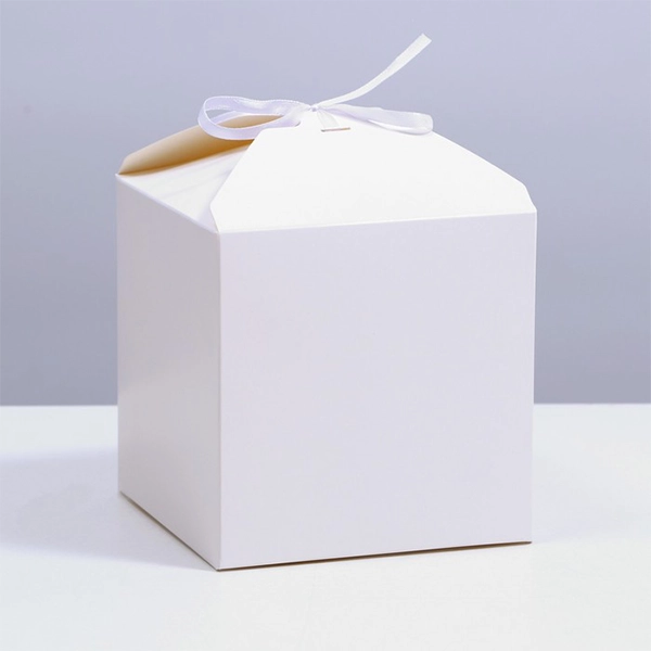 small kraft boxes white