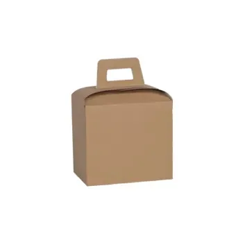 Custom Printed Cardboard Carry Packaging Boxes